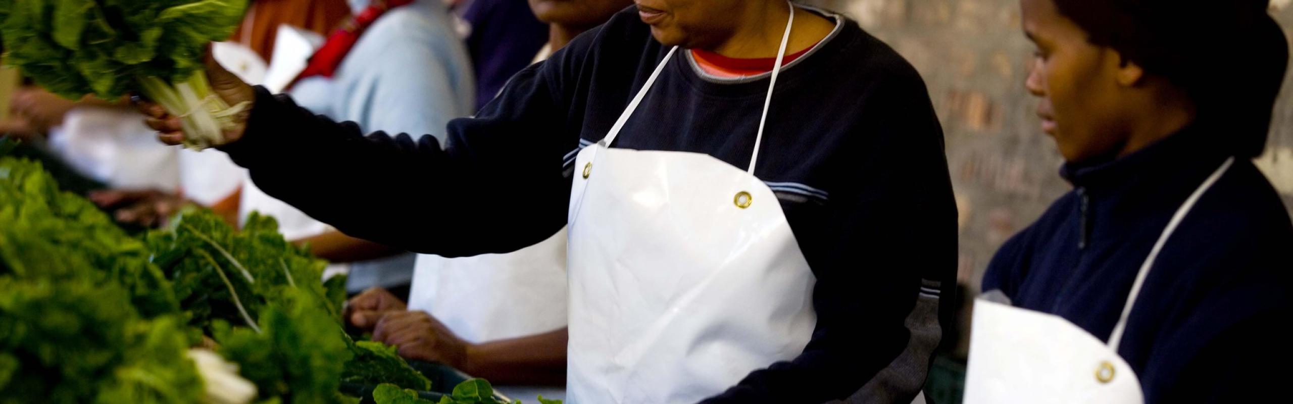 Women pack boxes of fresh vegetables in Guguletu, Cape Town, South Africa. They are part of the Abalimi Bezehkaya project that teaches people better farming techniques and sells fresh produce weekly to generate incomes for the farmers involved.