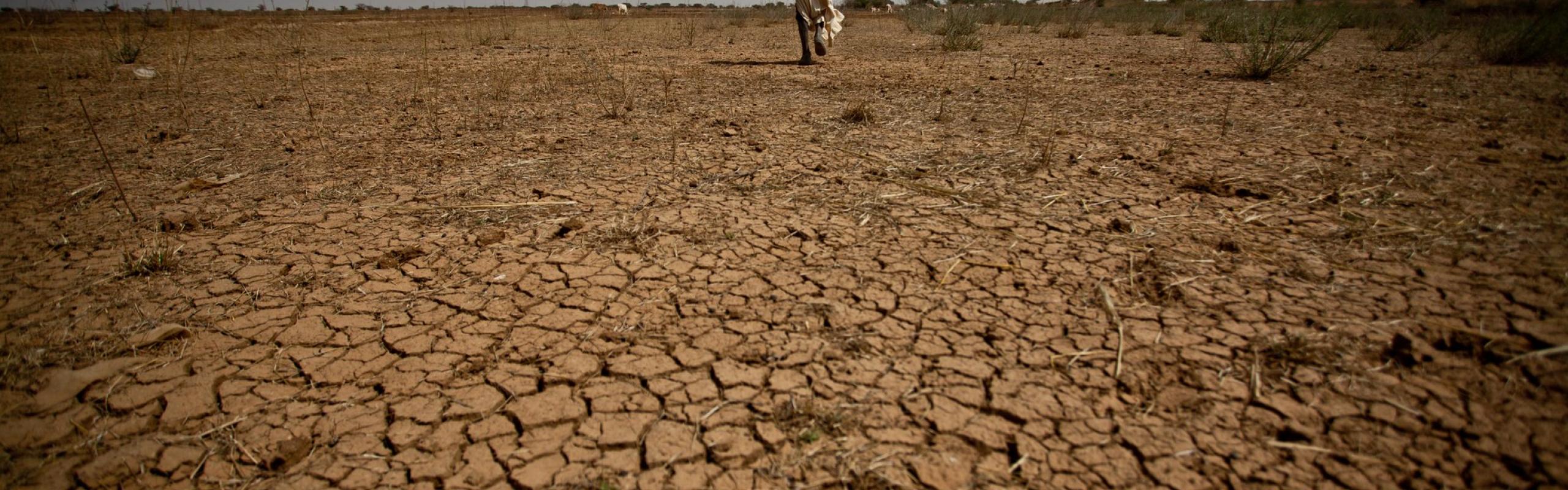 African farmer walking across parched land