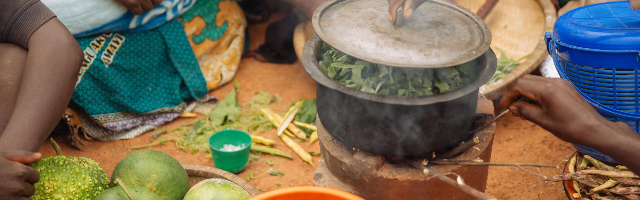 Village woman putting a lid on a pot with chopped greens cooking on an improved clay cook stove. Near Linongwe, Malawi