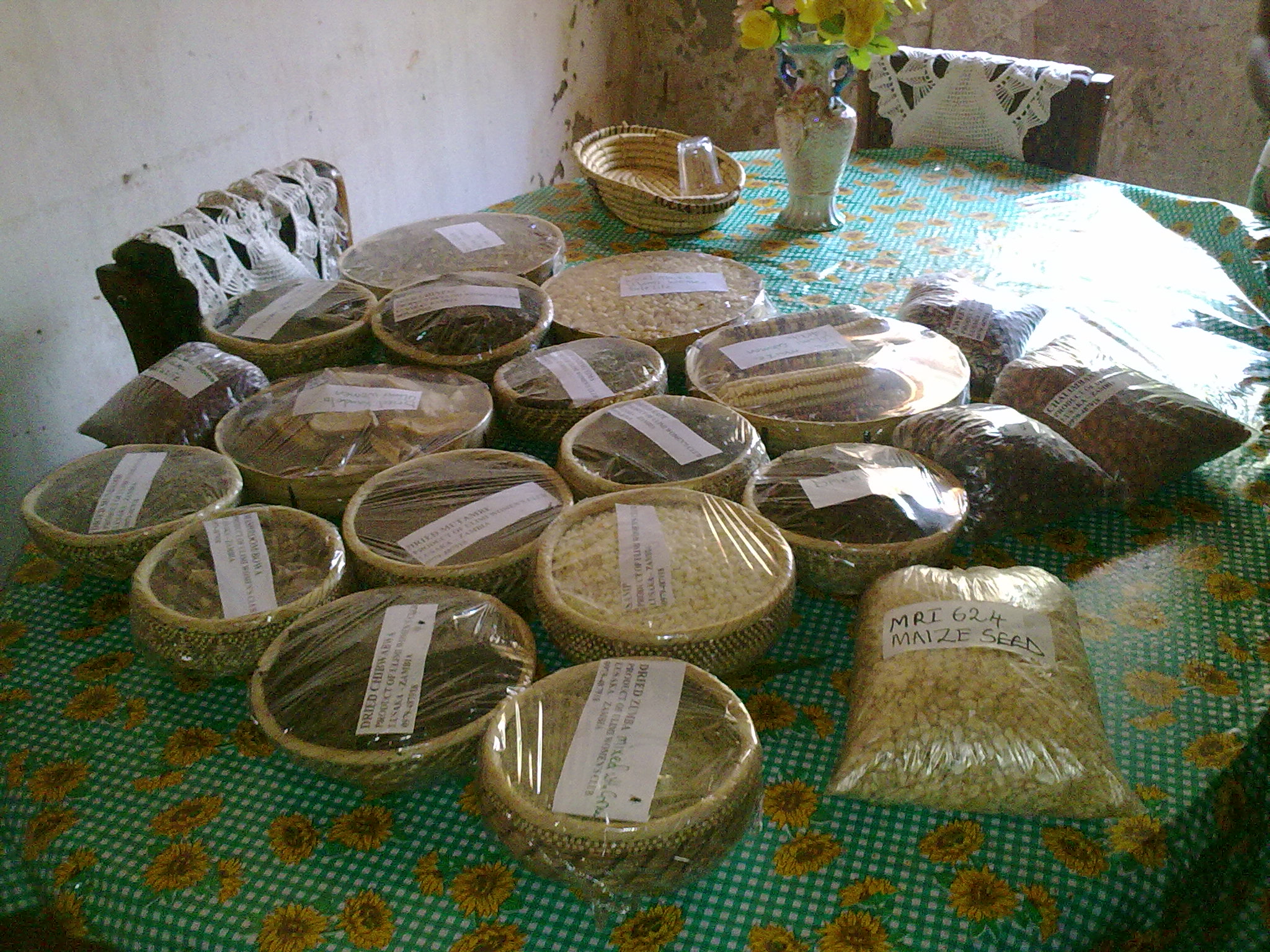 Zambia Policy Dialogue Focuses on Nutrition | Food Security Portal