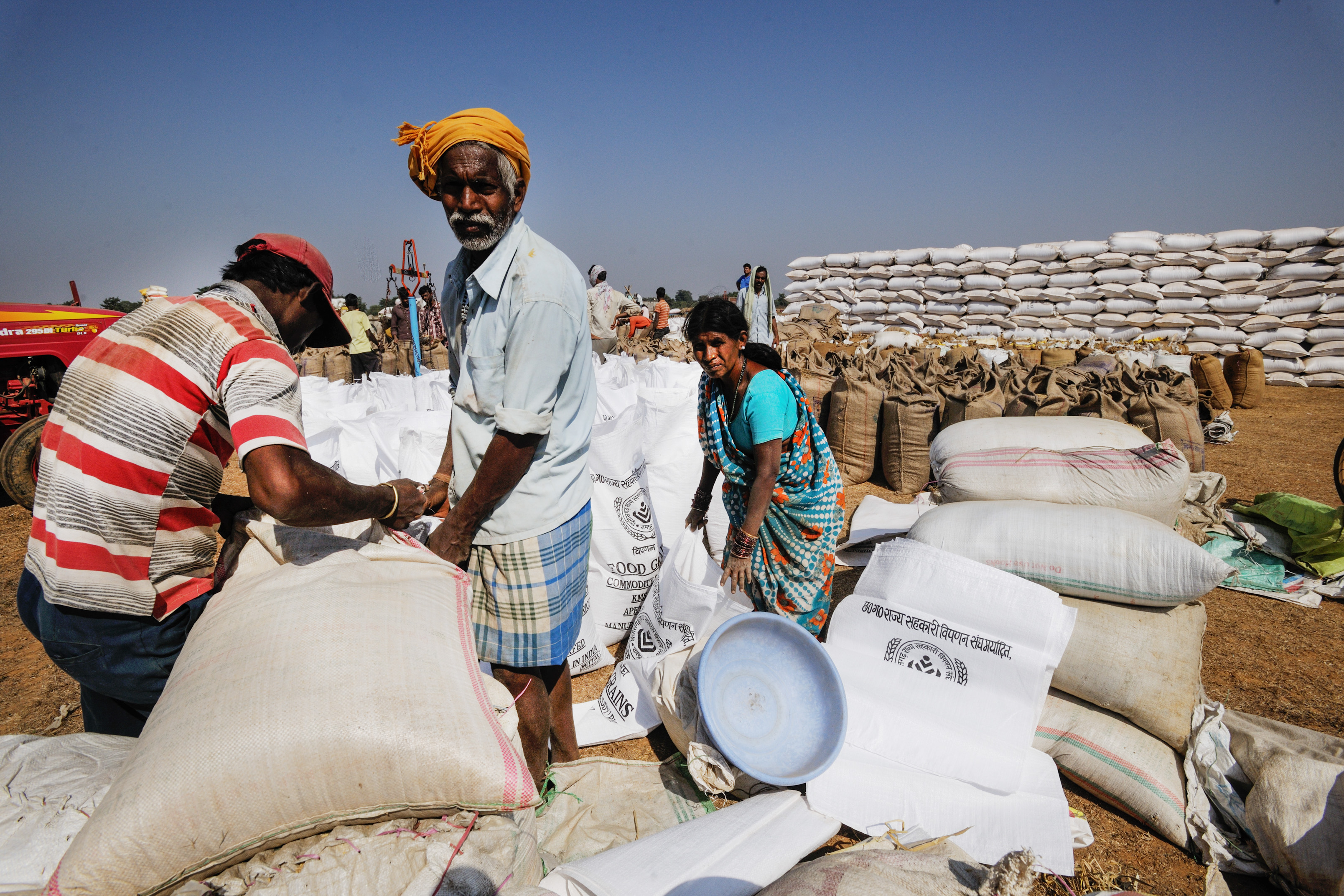 USDA Releases Latest World Agricultural Supply and Demand Estimates Food Security Portal