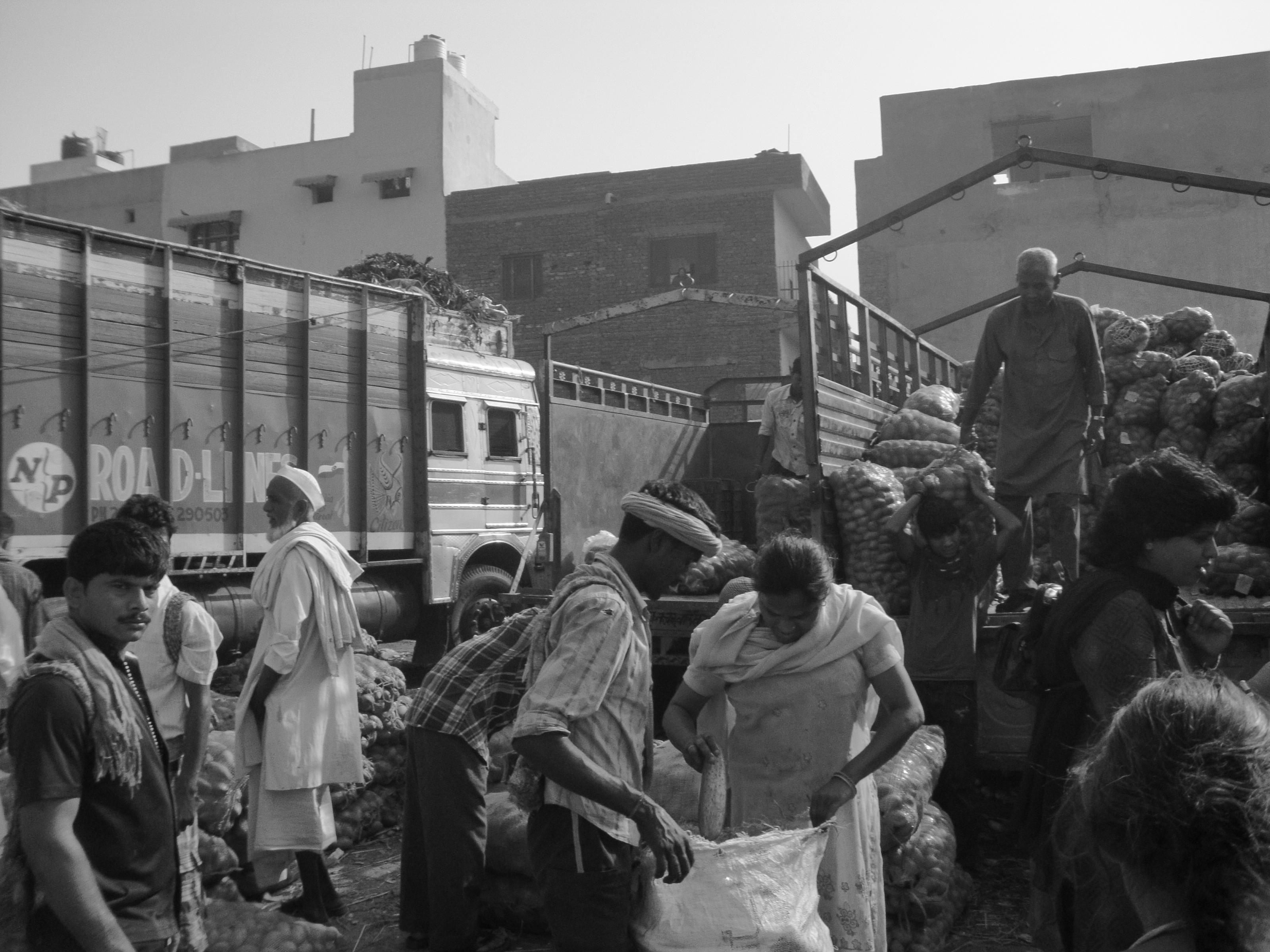 Protecting The Poor Through Higher Food Prices Food Security Portal