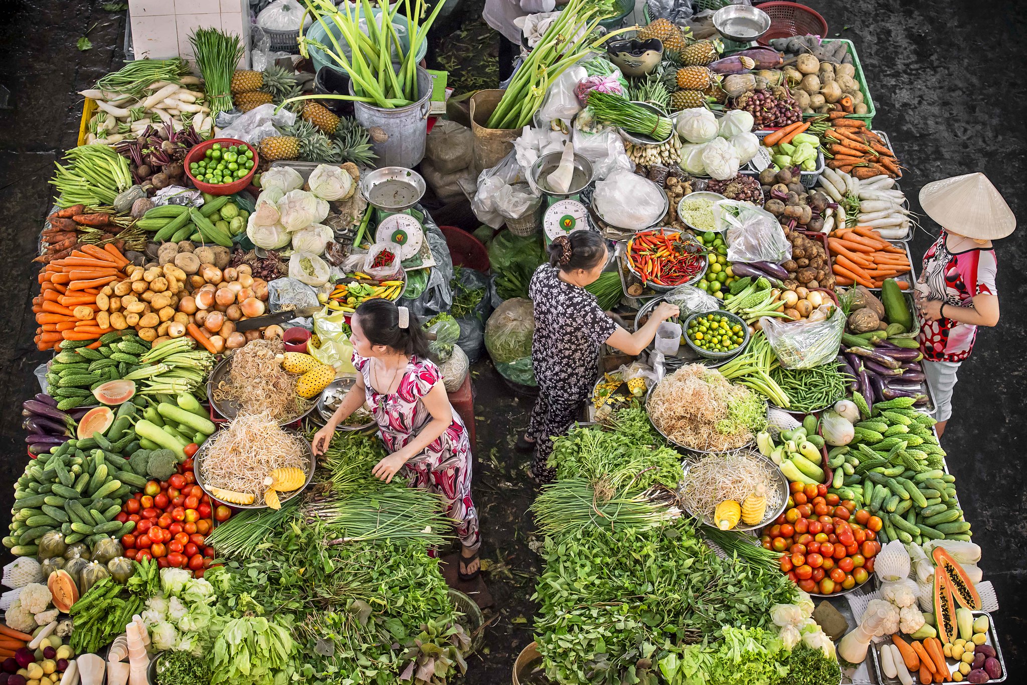 Transforming Food Systems after COVID-19: Implications of the 2021 ...