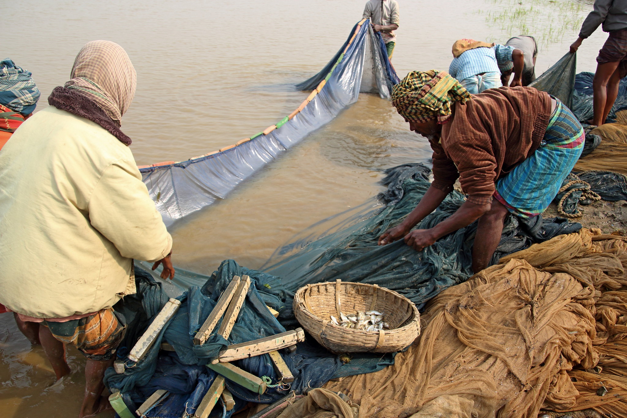Impact of COVID-19 on National Food Systems | Food Security Portal