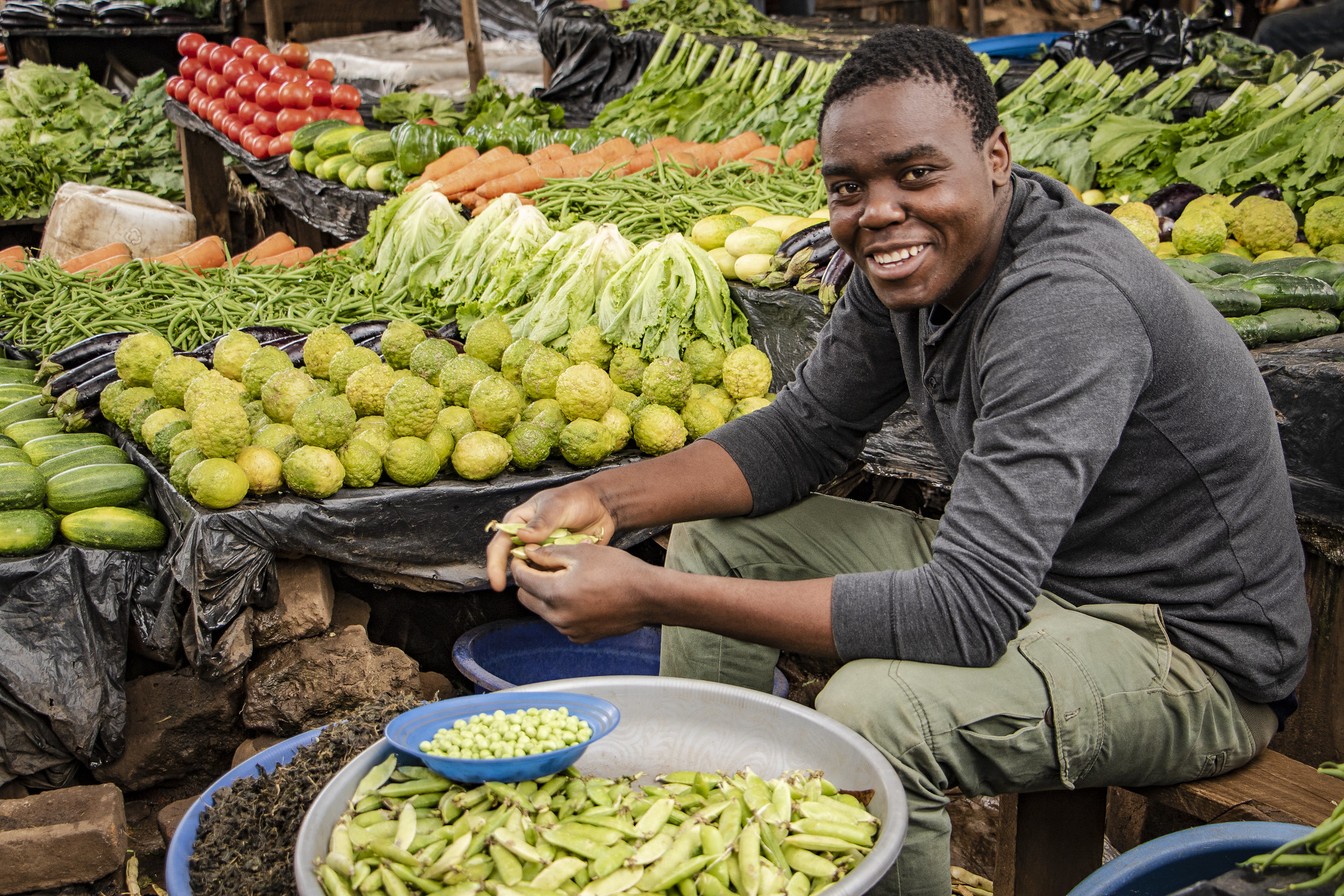 2022 State of Food Security and Nutrition in the World report ...
