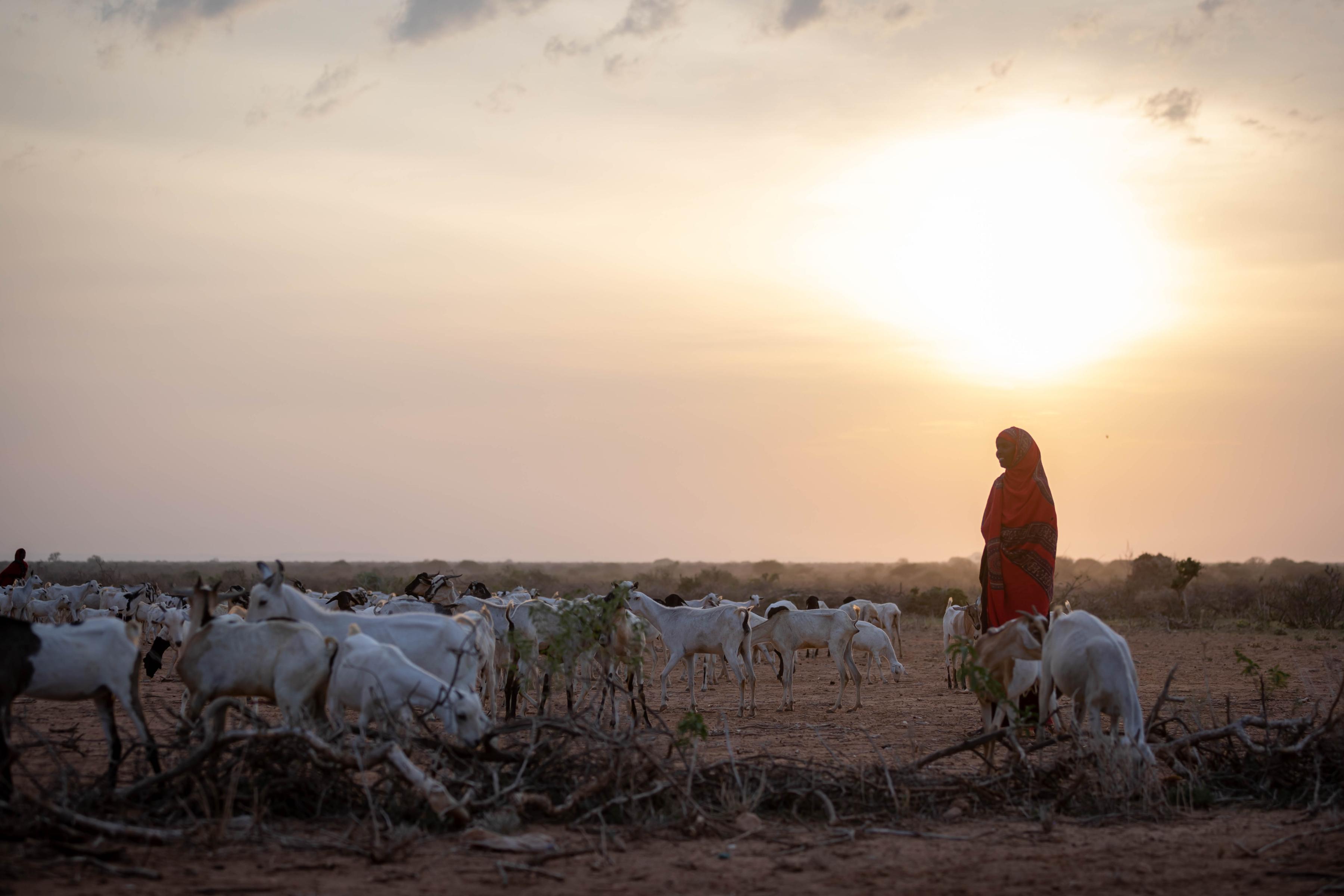 Hunger Levels Continue On The Rise 2022 Global Hunger Index Released hunger-levels-continue-on-the-rise-2022-global-hunger-index-released