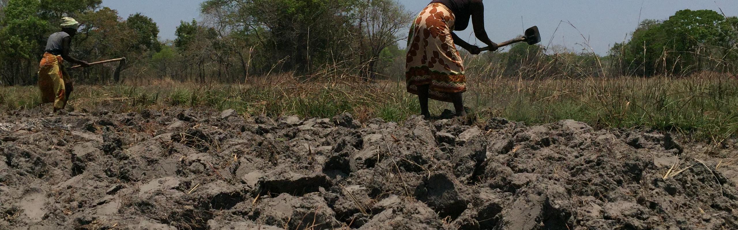 Drought in Mozambique