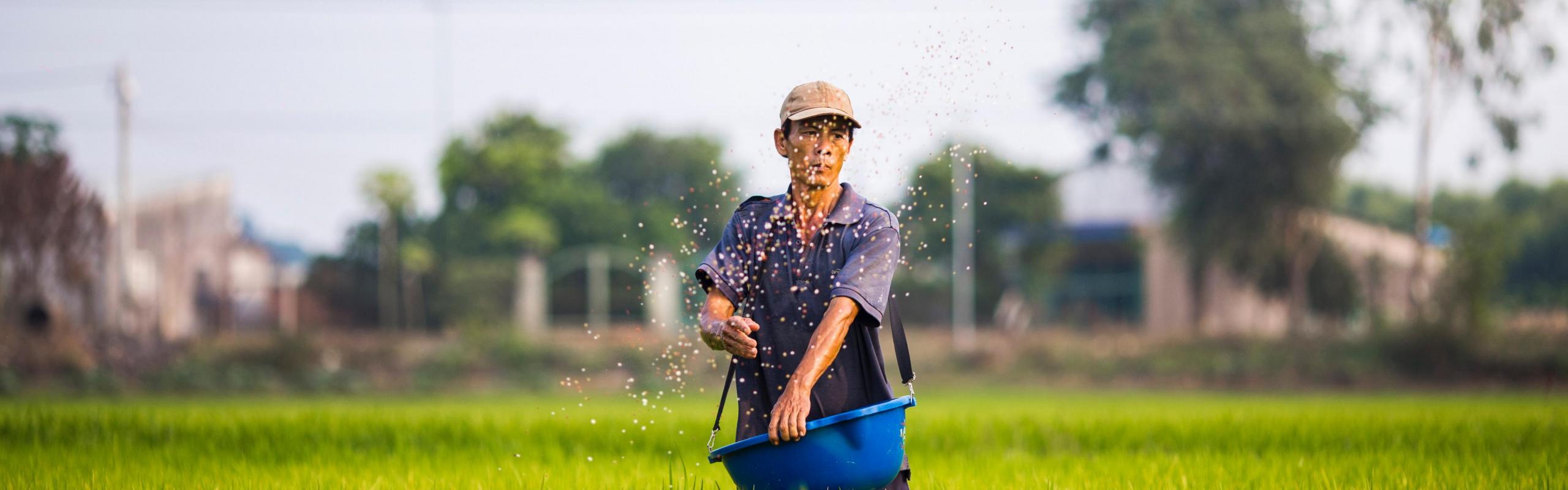 Rice farmer in Vietnam standing in paddy