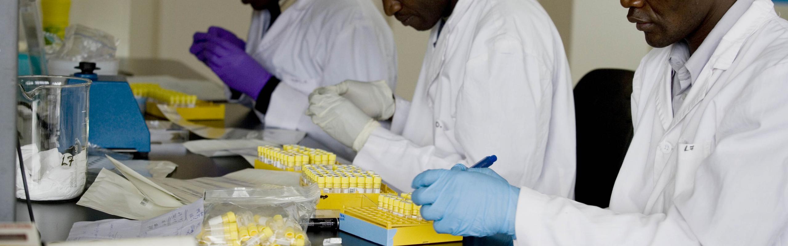 African researchers working in lab