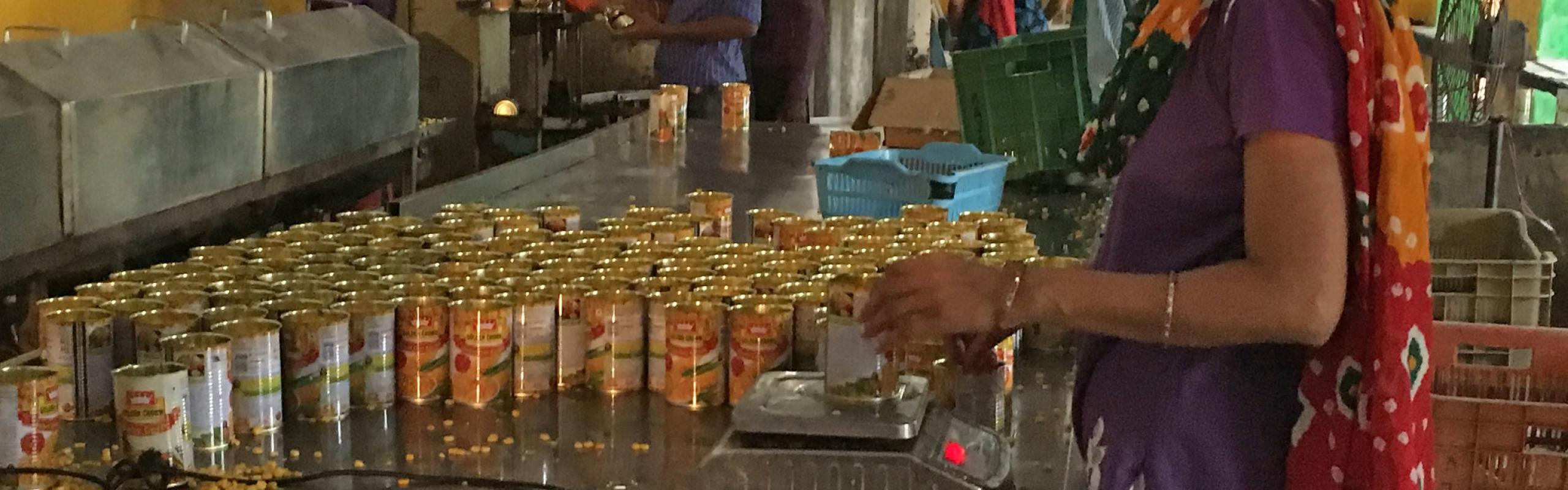 Woman weighing cans of corn for packaging at Pratibha Foods Processing Unit in Sonipat District, Haryana, India.
