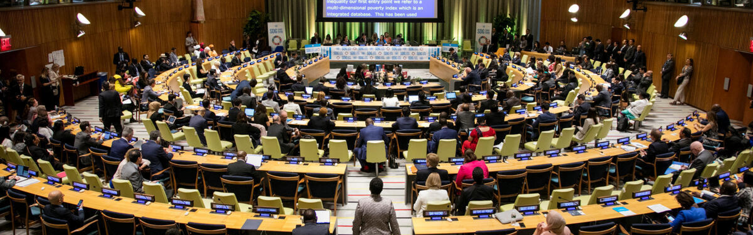 High-Level Political Forum on Sustainable Development (HLPF) in 2021