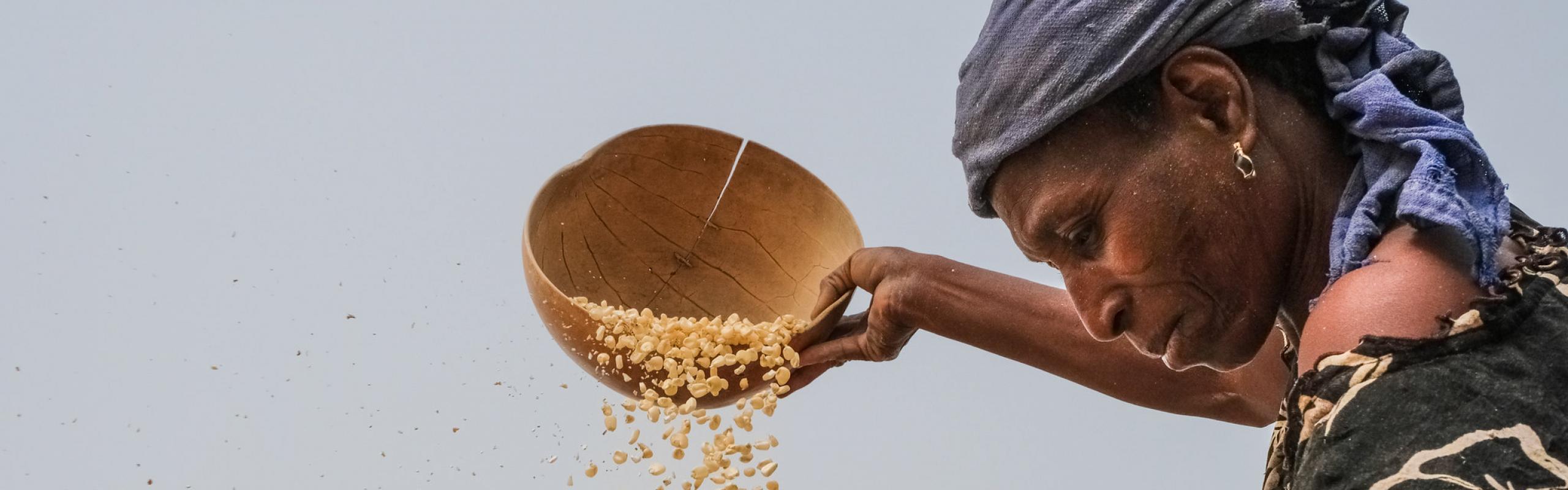 Woman cleaning maize in Gwenia, Kassena Nankana District - Ghana.