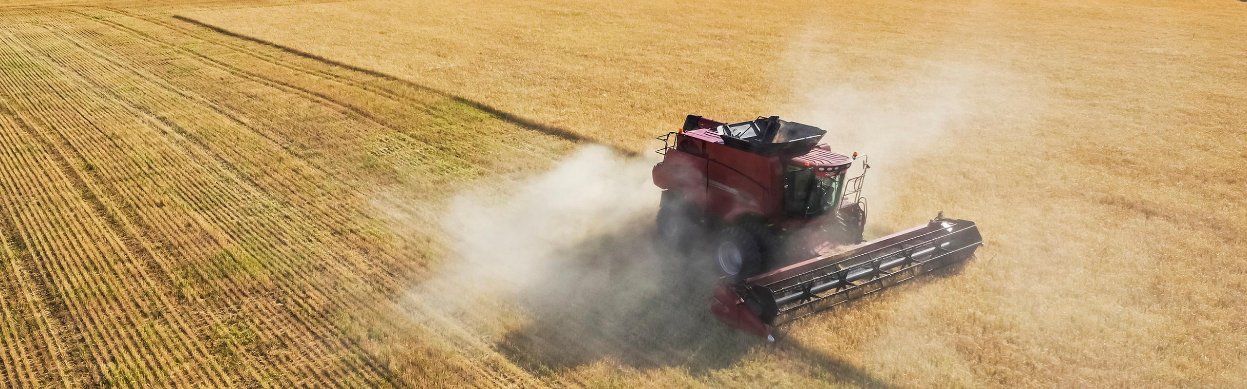 Red harvester machine drives across wheat field, aerial view, in La Pampa, Argentina.