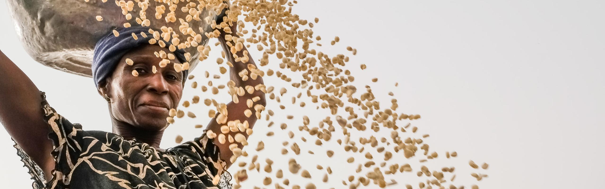 Woman cleaning maize in Gwenia, Kassena Nankana District - Ghana.