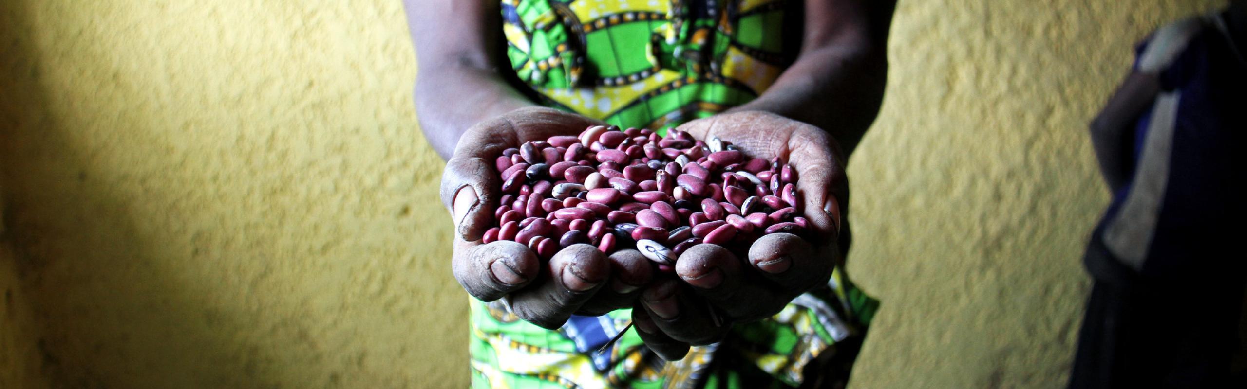 Person in green and yellow wrap holds out handful of dried red beans