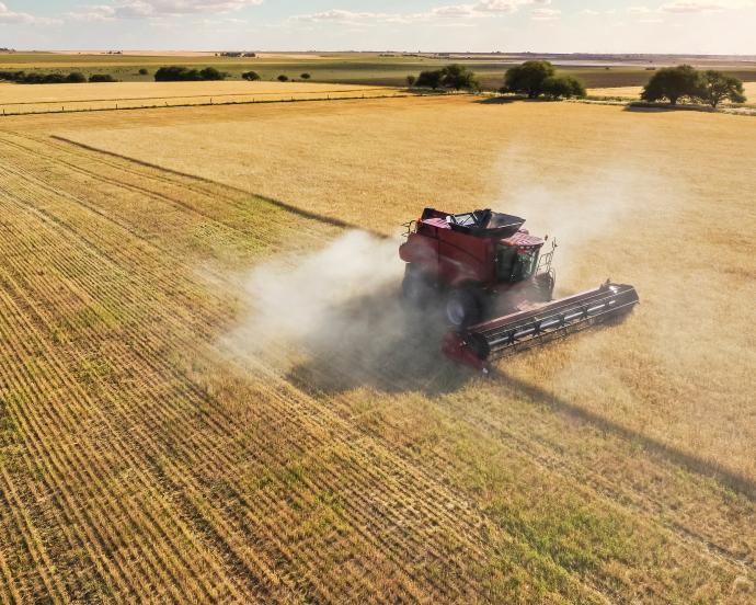 Red harvester machine drives across wheat field, aerial view, in La Pampa, Argentina.