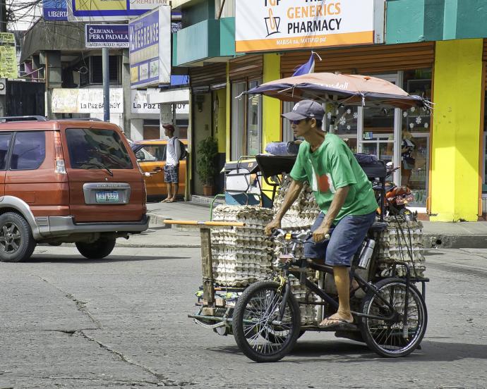 Man rides bicycle delivering trays of eggs to local market in Bacolod City, Philippines