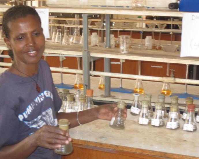 Laboratory technician in a blue t-shirt at the Soils lab at Hawassa University College of Agriculture, shaking bones with coffee wastewater 