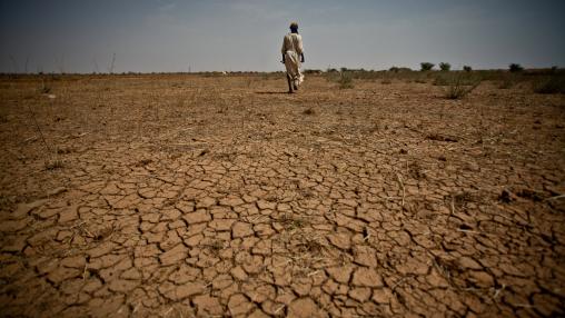 African farmer walking across parched land