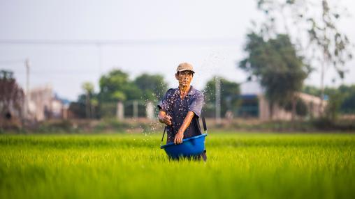Rice farmer in Vietnam standing in paddy