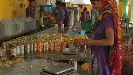 Woman weighing cans of corn for packaging at Pratibha Foods Processing Unit in Sonipat District, Haryana, India.