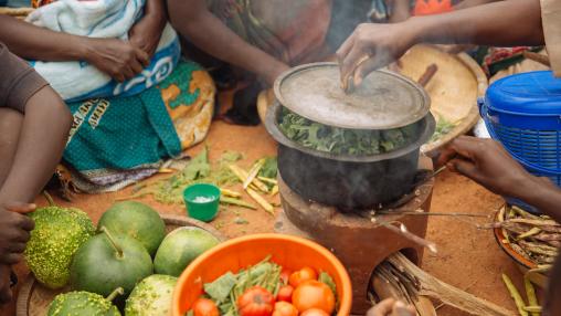 Village woman putting a lid on a pot with chopped greens cooking on an improved clay cook stove. Near Linongwe, Malawi