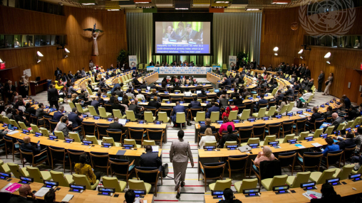 High-Level Political Forum on Sustainable Development (HLPF) in 2021