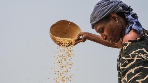 Woman cleaning maize in Gwenia, Kassena Nankana District - Ghana.