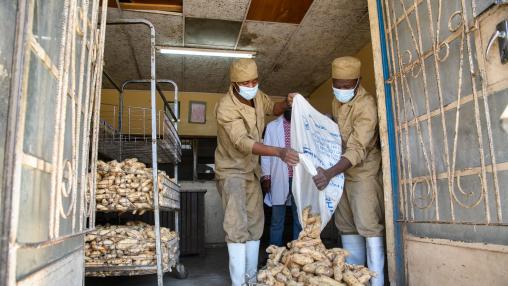 Deux employés d'Olympic Bakery au Malawi portent des masques lorsqu'ils versent des patates douces dans des sacs en tissu alors qu'ils préparent la purée de patates douces utilisée pour faire du pain aux patates douces.