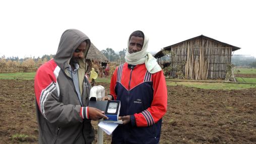 Two Ethiopian extension workers stand in a field and use a mobile phone to report farmers' feedback to scientists.