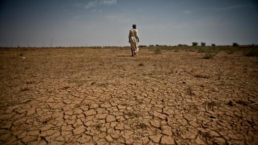 Person walks away from camera across arid soil in Mauritania