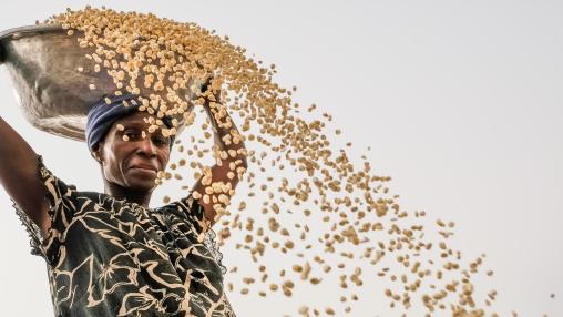 Woman cleaning maize in Gwenia, Kassena Nankana District - Ghana.
