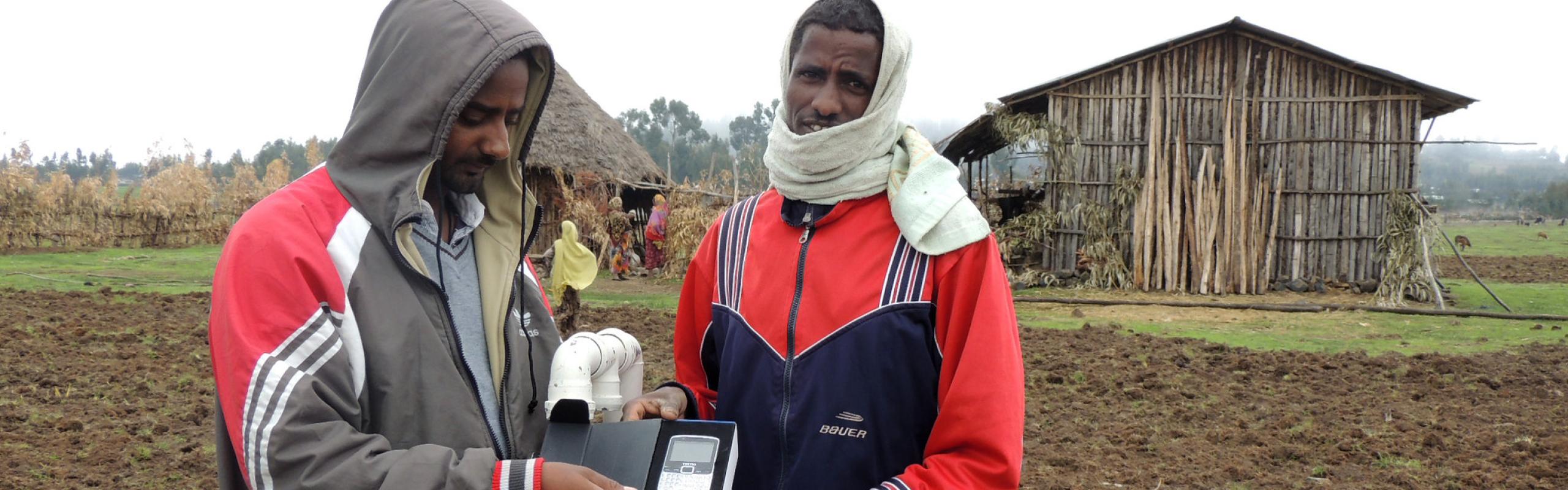 Two Ethiopian extension workers stand in a field and use a mobile phone to report farmers' feedback to scientists.