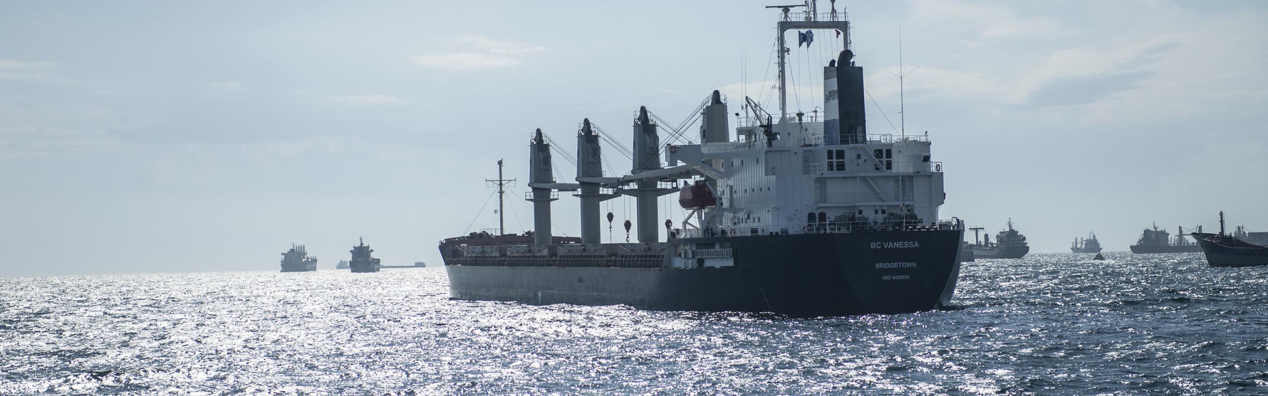 The BC Vanessa, a WFP-chartered vessel carrying Ukrainian grain destined for Afghanistan under the Black Sea Grain Initiative, in the Marmara Sea, awaiting inspection at the Joint Coordination Centre, Istanbul, Türkiye, 28 September 2022