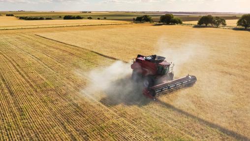Red harvester machine drives across wheat field, aerial view, in La Pampa, Argentina.